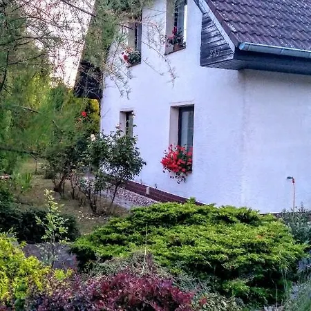 Vila V Podkrusnohori Jirkov Exterior photo