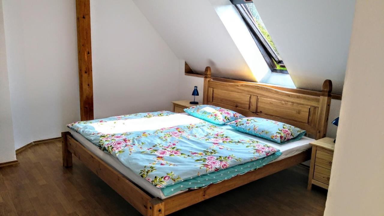 V Podkrusnohori Holiday home *